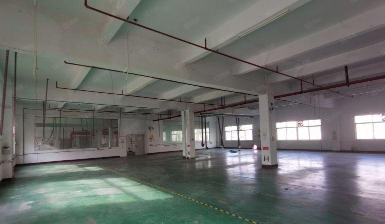 9.9元马安带装修1080平厂房，形象好，租金实惠