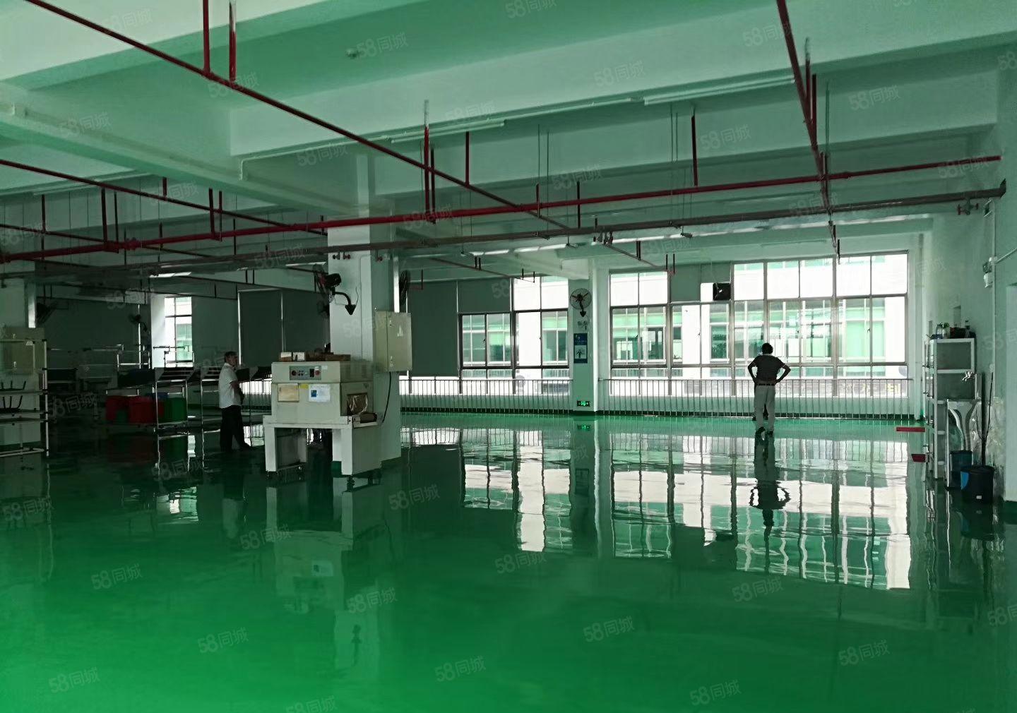 马安新湖工业园区7楼700平方厂房出租