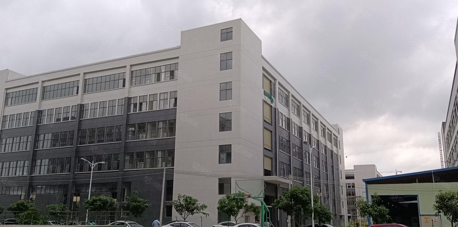 水口厂房招租76000平方可整租或分租（一手对接） 配宿舍楼