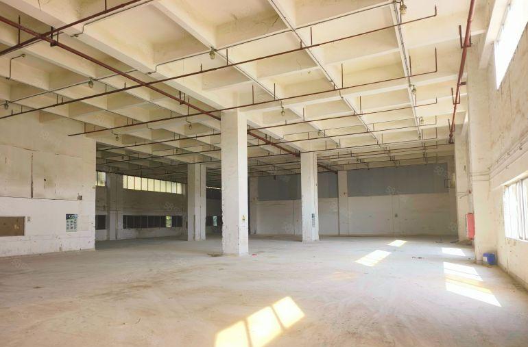 惠城原房东花园厂房25万平大小分租一楼层高11米适合五金物流