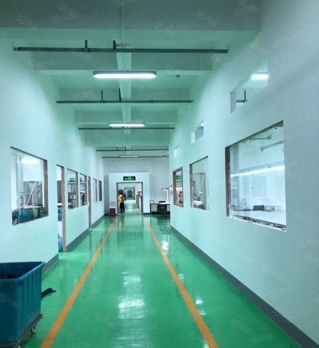 马安镇低价厂房出租原房东直租带地坪漆无需装修直接入驻配大货梯