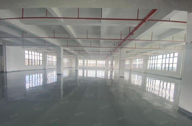 马安新乐工业区12000平原房东带地坪漆全新标准厂房出租