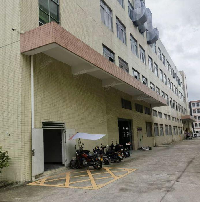 三栋数码园一二层4600平方红本标准厂房招租层高6米