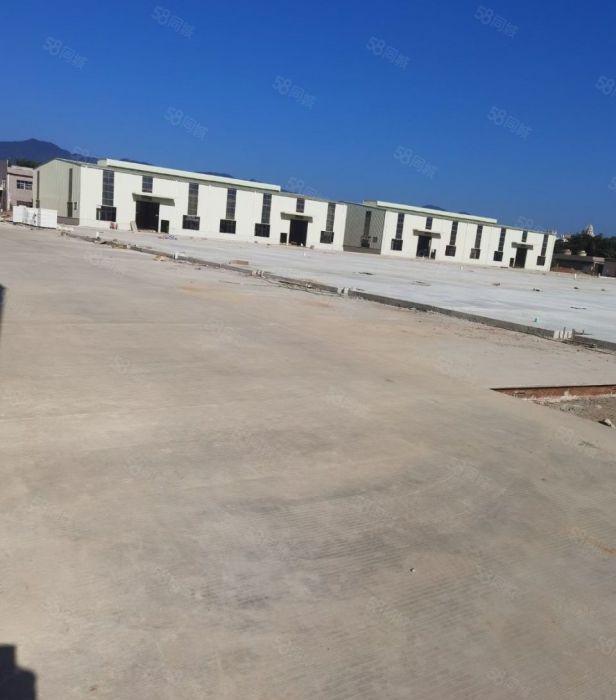 水口镇全新独院钢构滴水9米厂房出租 独门独院证件齐全空地超大