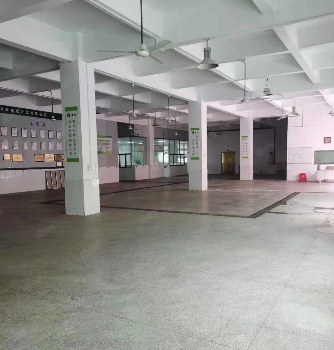 水口大湖溪新空出一楼600平方标准厂房出租 租金18