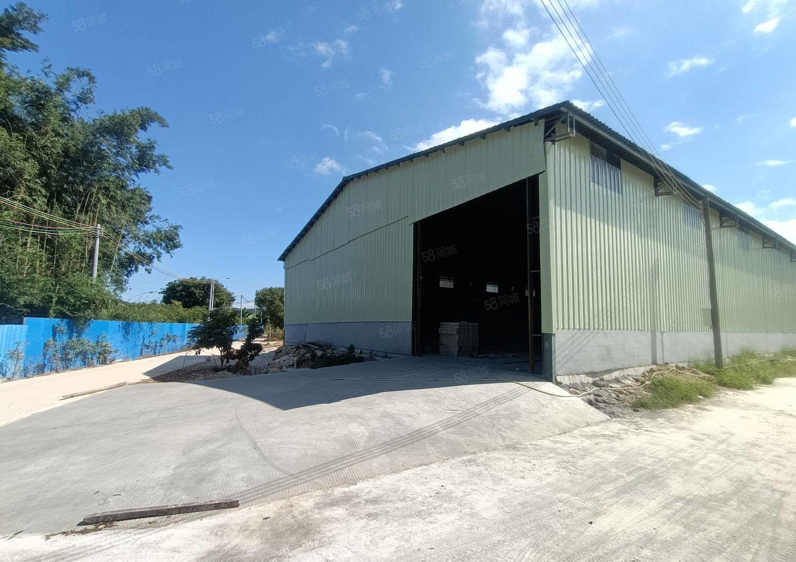 马安原房东新建单一层钢构1000平方，6米高，15元出租