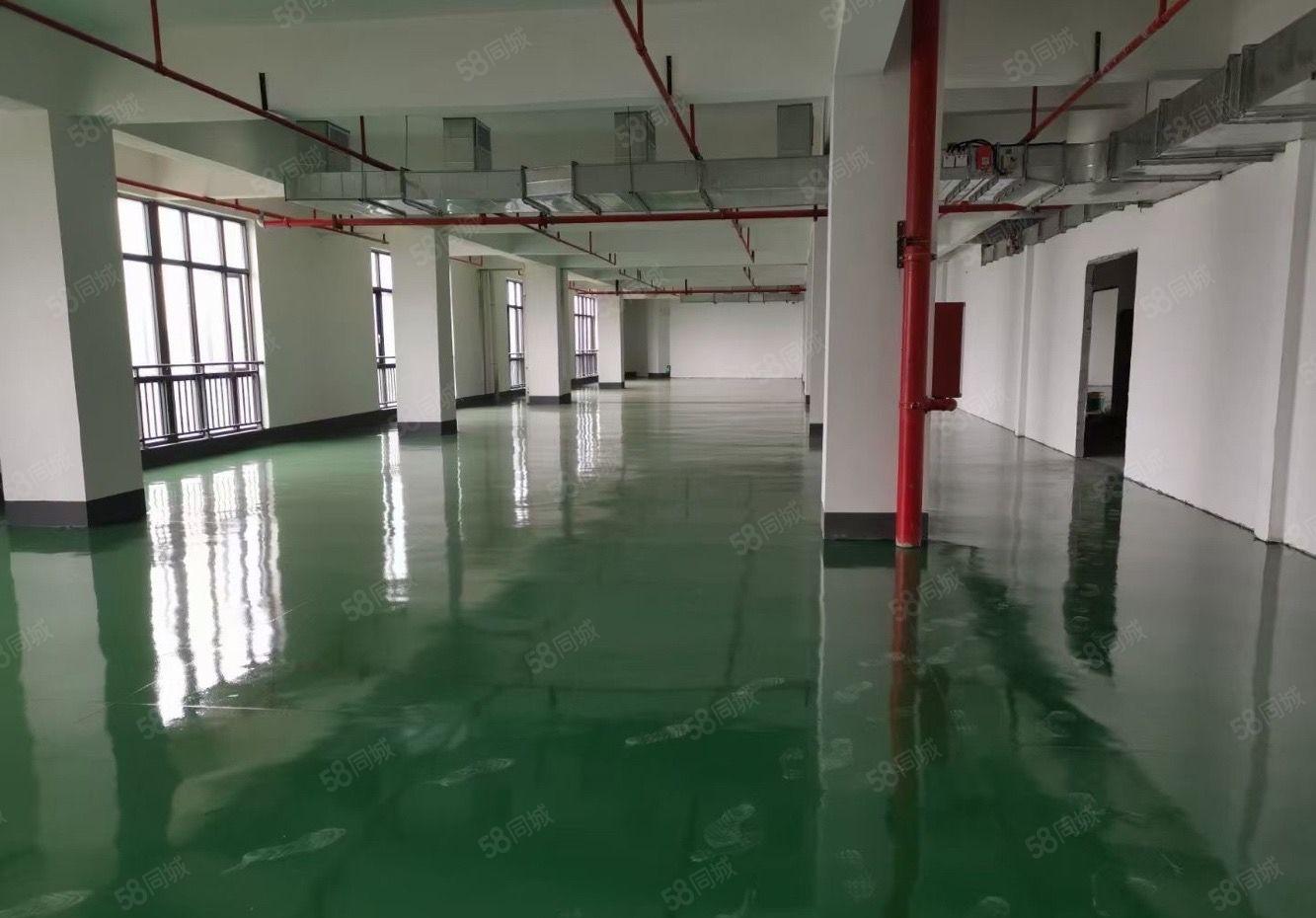12元起惠城马安园区标准新厂房带地坪漆620平方出租