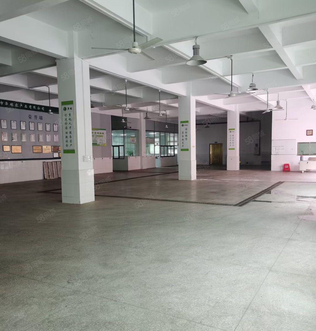 小金柏岗独院厂房3200平米出租 租金13元 有证件 可分租