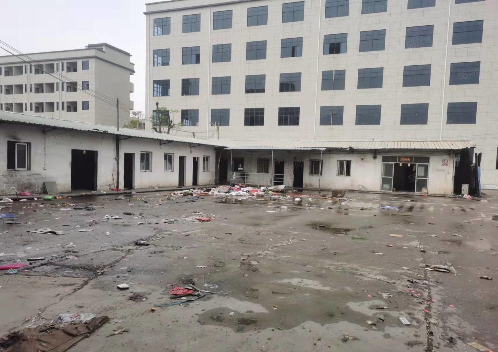 水口水果市场3000平方米钢构厂房出租占地7000平，空地大