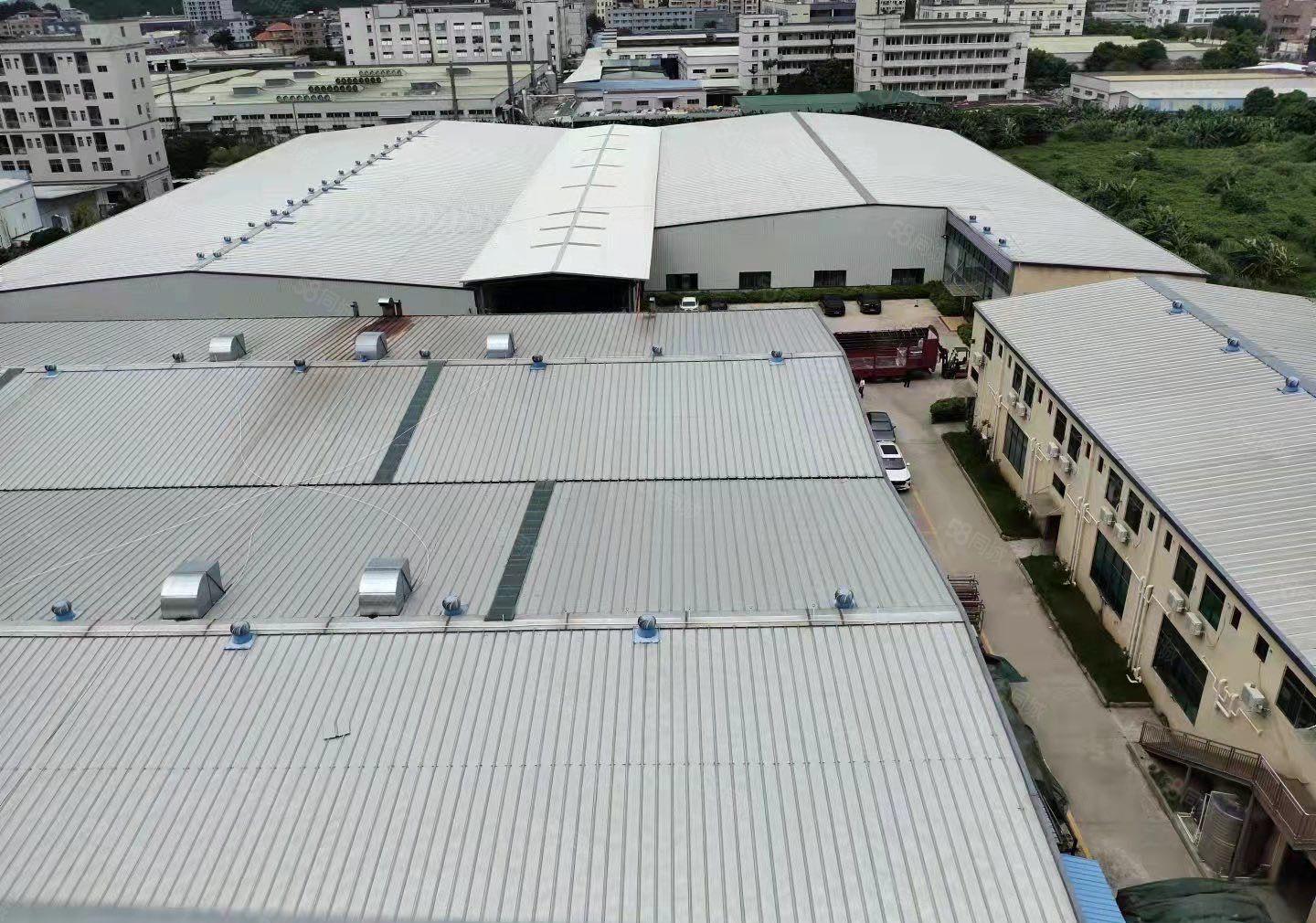 三栋新空出钢构厂房价格实惠