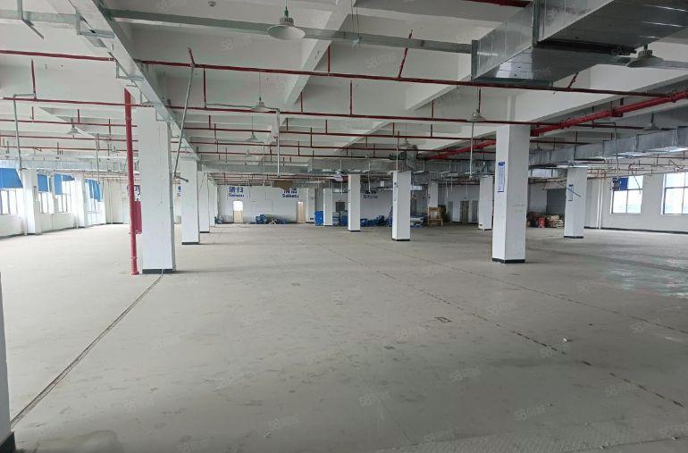 三栋数码园南区 原房东独院标准厂房约1.9万平 租金9元