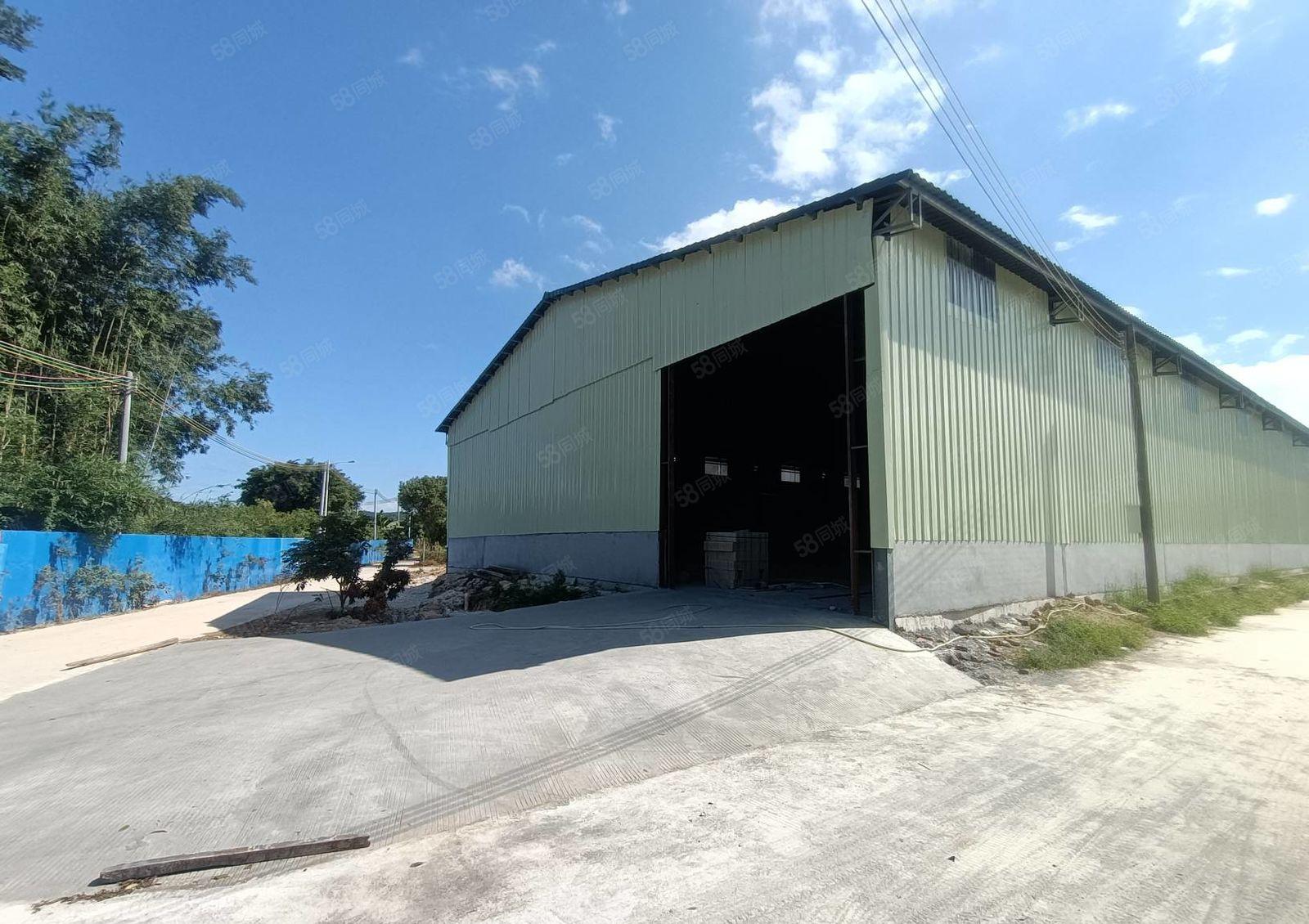 马安原房东新建单一层钢构1000平方，6米高，15元出租