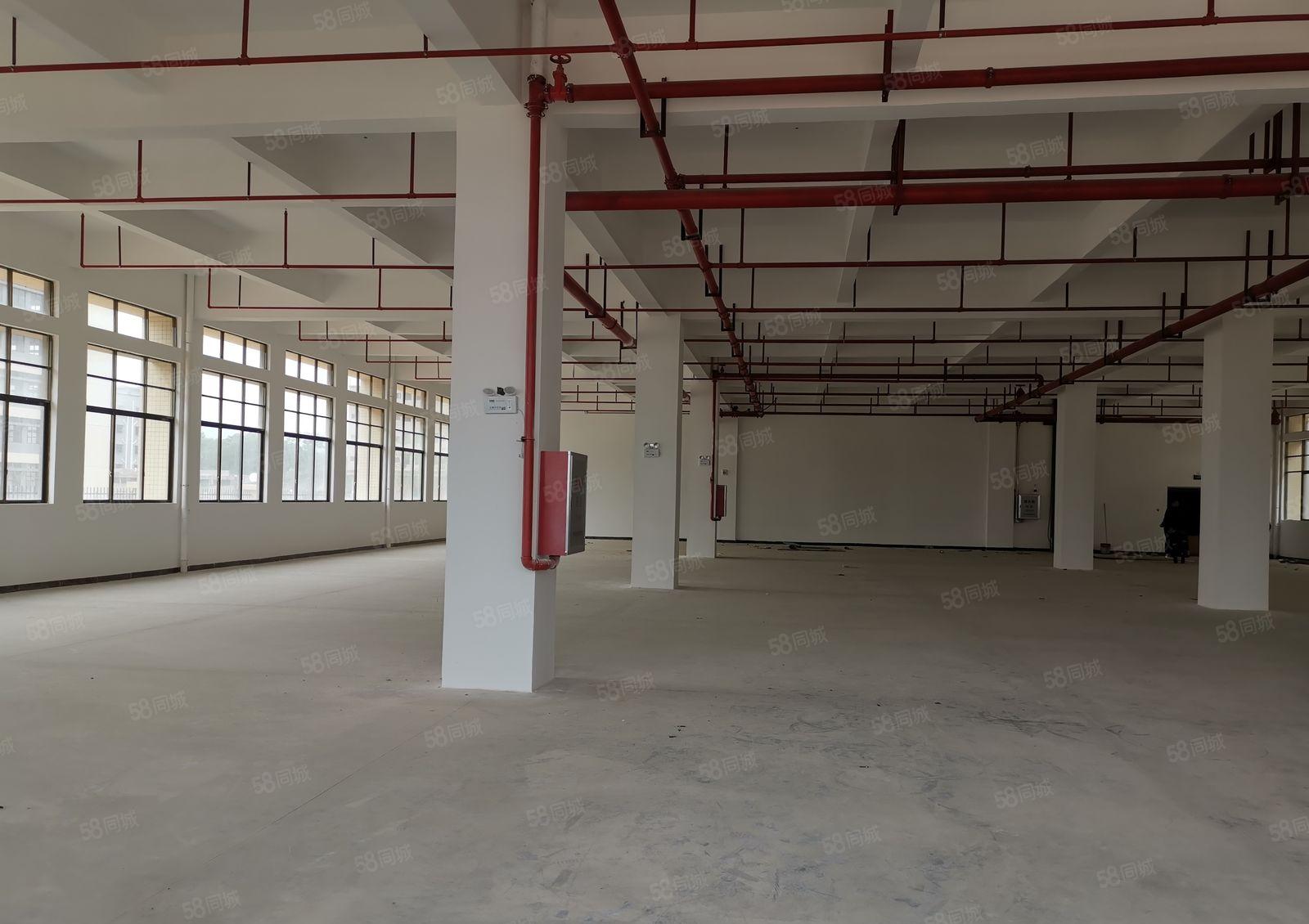 三栋新出一楼厂房1000平 租16元 适合小加工行业