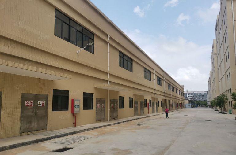 ！整栋！可分割（东江高新区标准厂房）2500平米一层，共5层