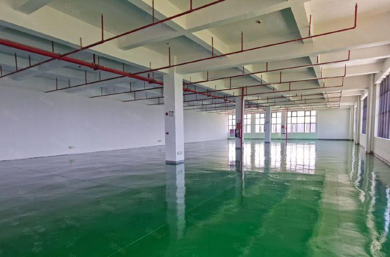 马安新乐工业区厂房1500平米 租金9元 大小分租 房东直租