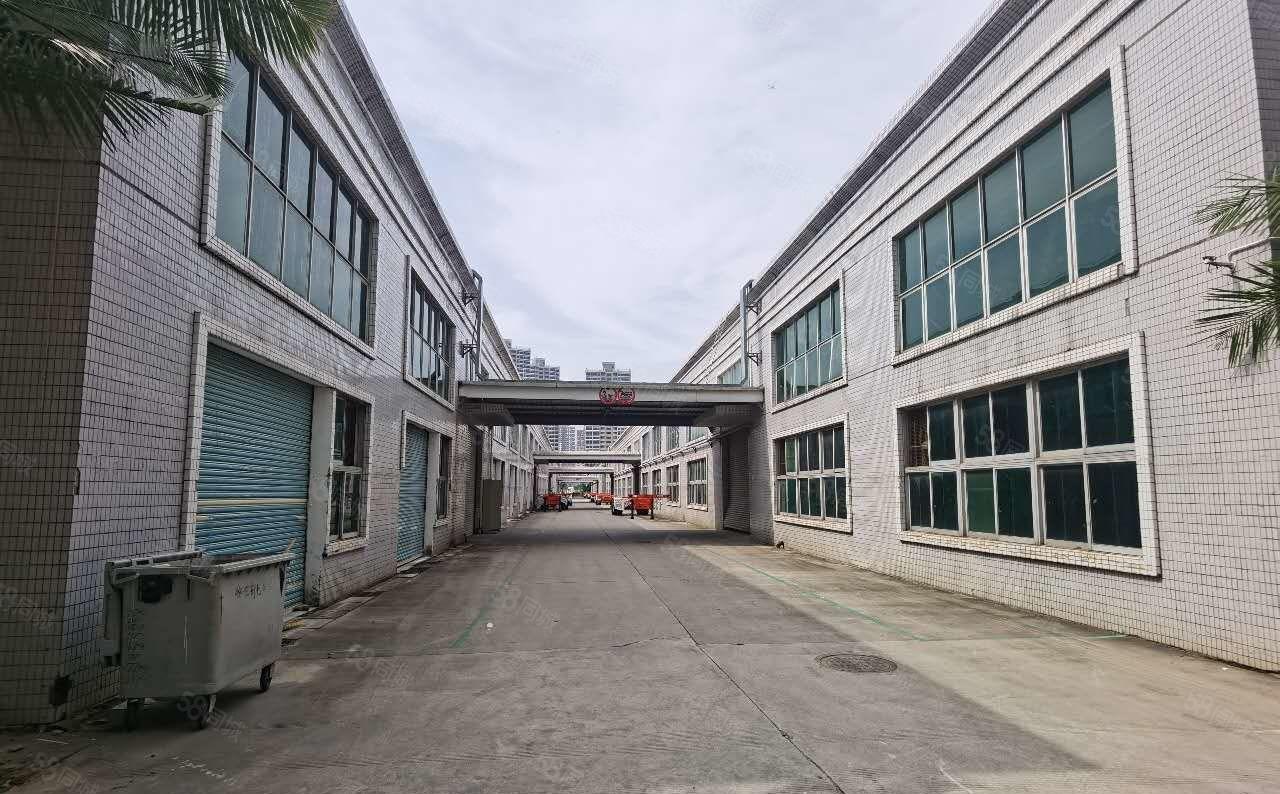 水口 带红本 11米高单一层钢构厂房 带牛腿 可装横车