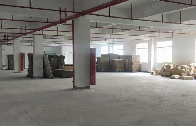 惠城小金口标准厂房2800方出租 可分租