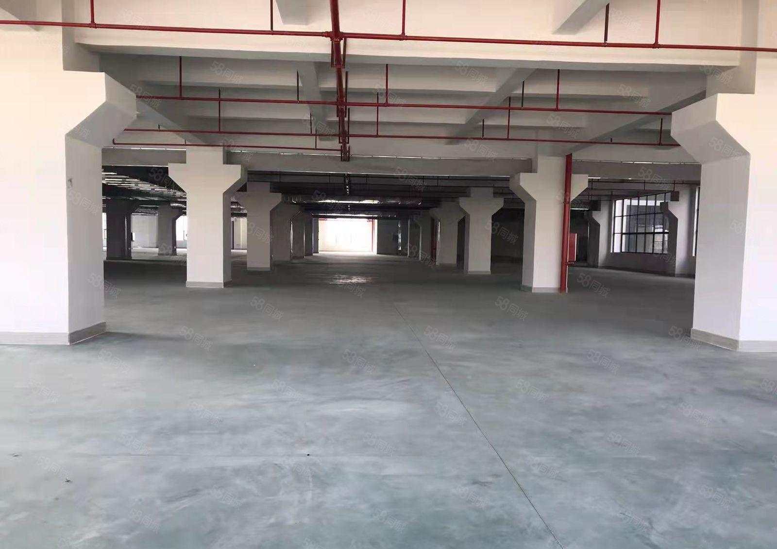 惠城水口新出全新原房东标准厂房 大小可分 可办环评