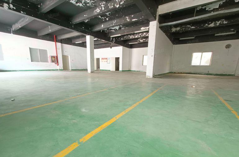 惠州市惠城区小金口800平低价厂房出租原房东精装修主干道旁