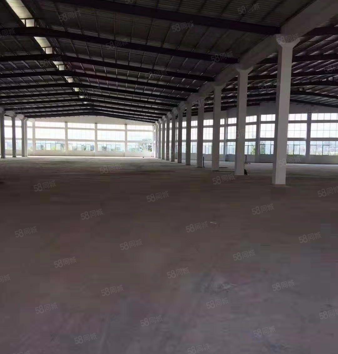 惠城区四角楼附近全新15米高标准钢构10500平方出租