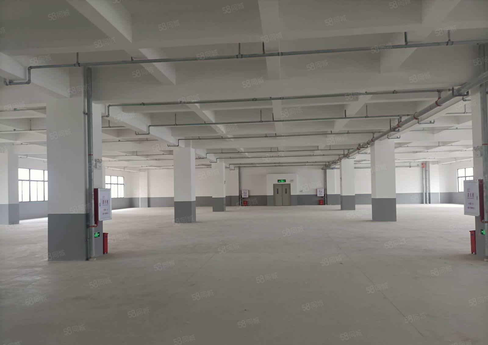 水口东江全新厂房1500平方 10元出租，水电齐全