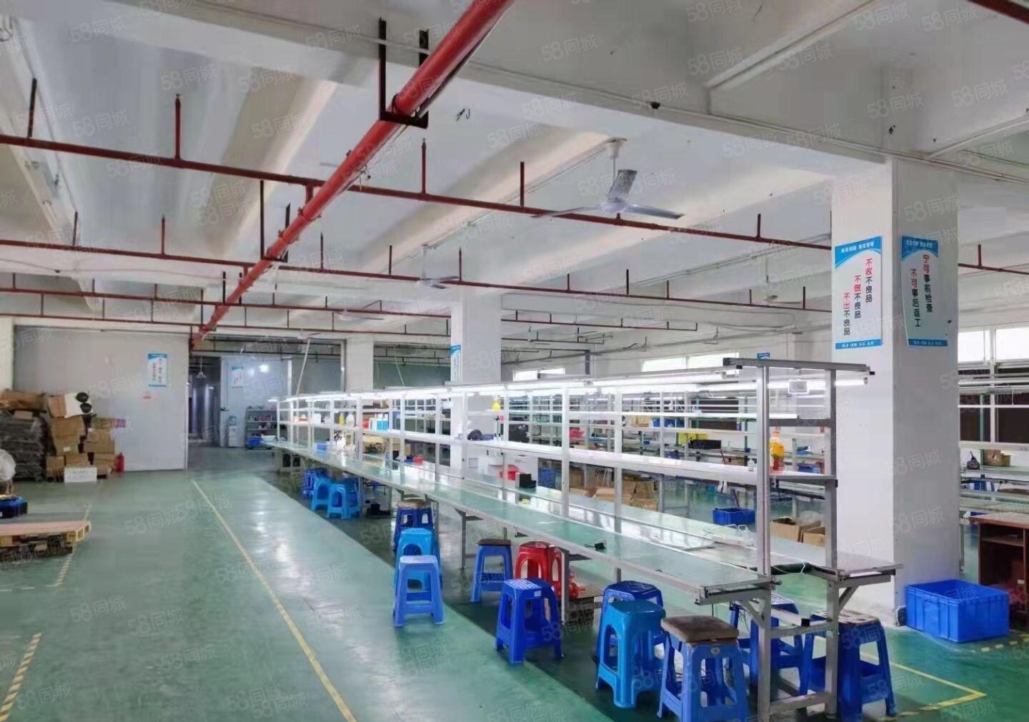 三栋新出独院钢结构，空地超大