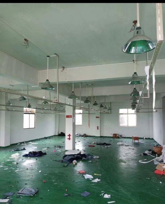 水口龙湖原房东出租无公摊面积