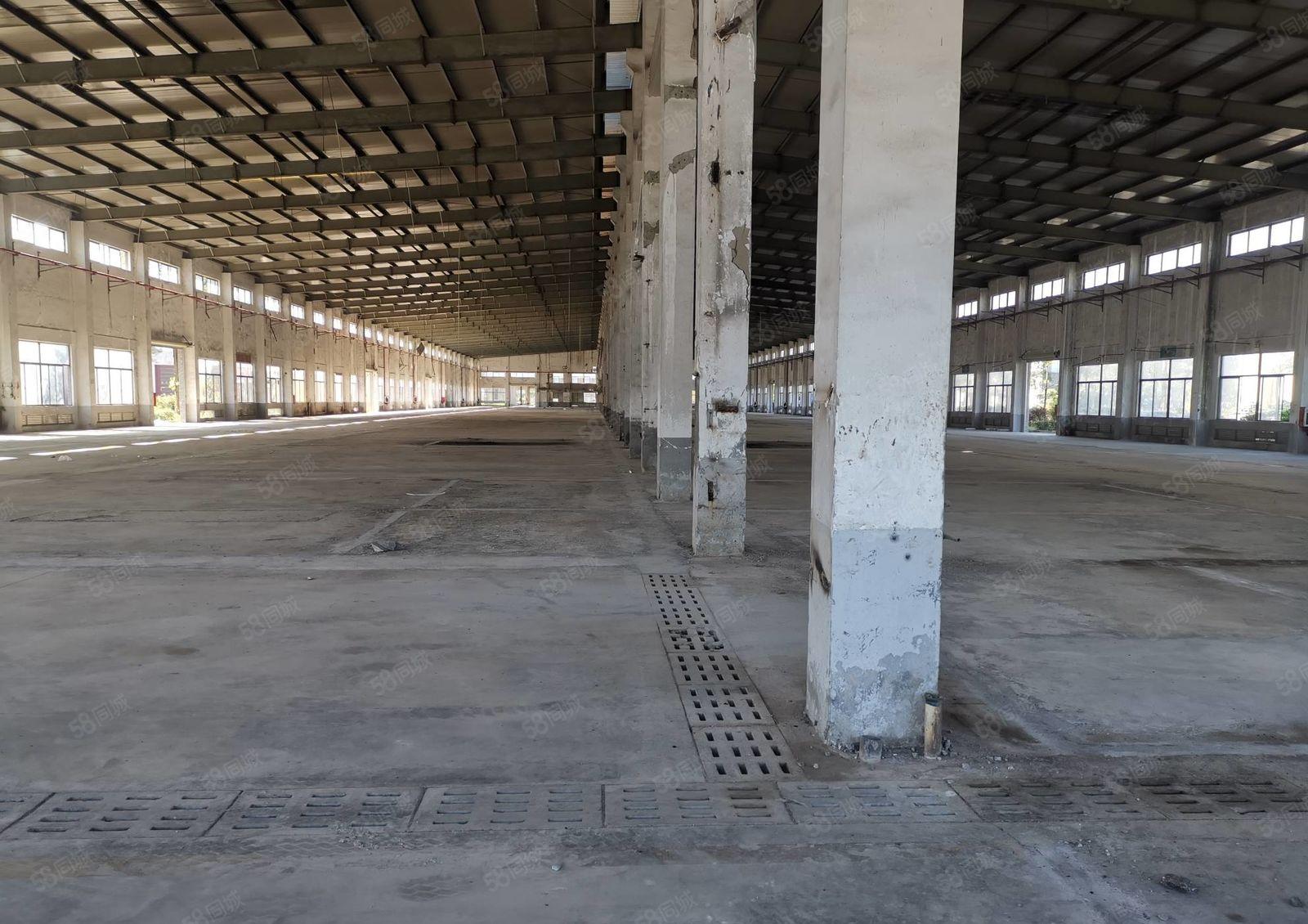 河南岸 钢构厂房出租 高度9米 交通方便 路边