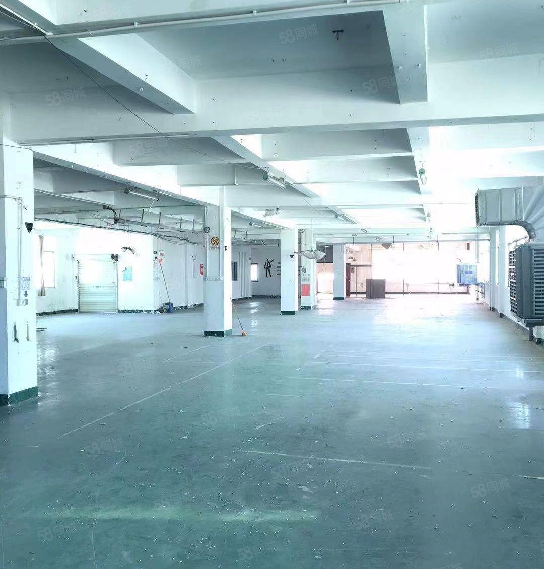 水口龙湖1楼1500平米，二楼1500平米红本标准厂房出租