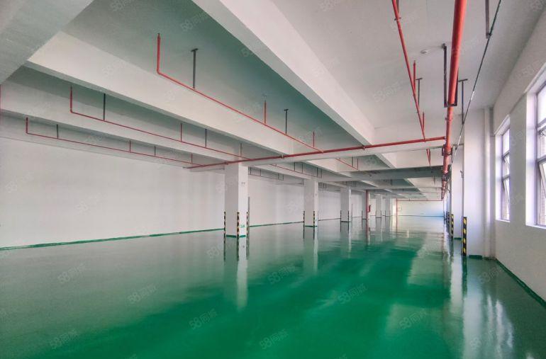 中心位置高速口原房东厂房带现成装修500平起可独栋可分租