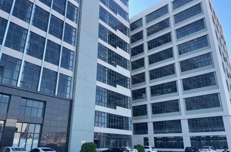 马安新乐工业区12000平原房东带地坪漆全新标准厂房出租