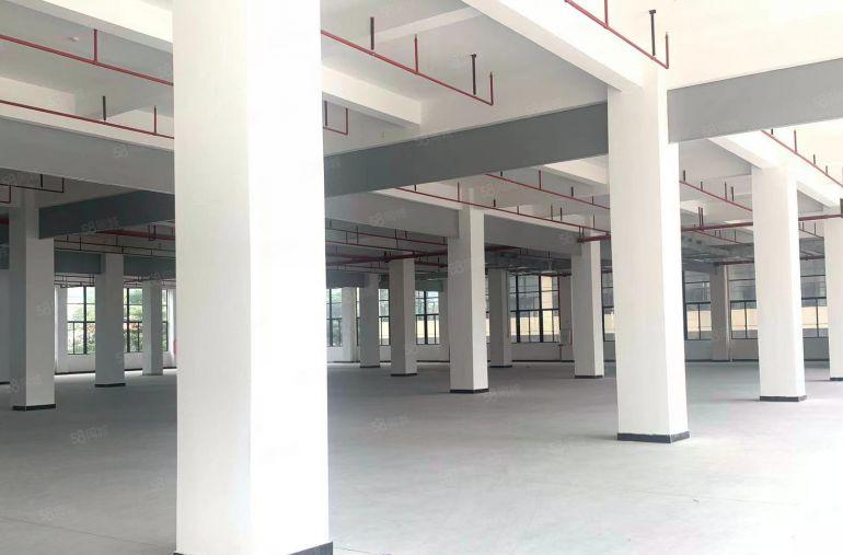 惠城区三栋厂房出租6元原房东楼上厂房出租一楼9米高证件齐全