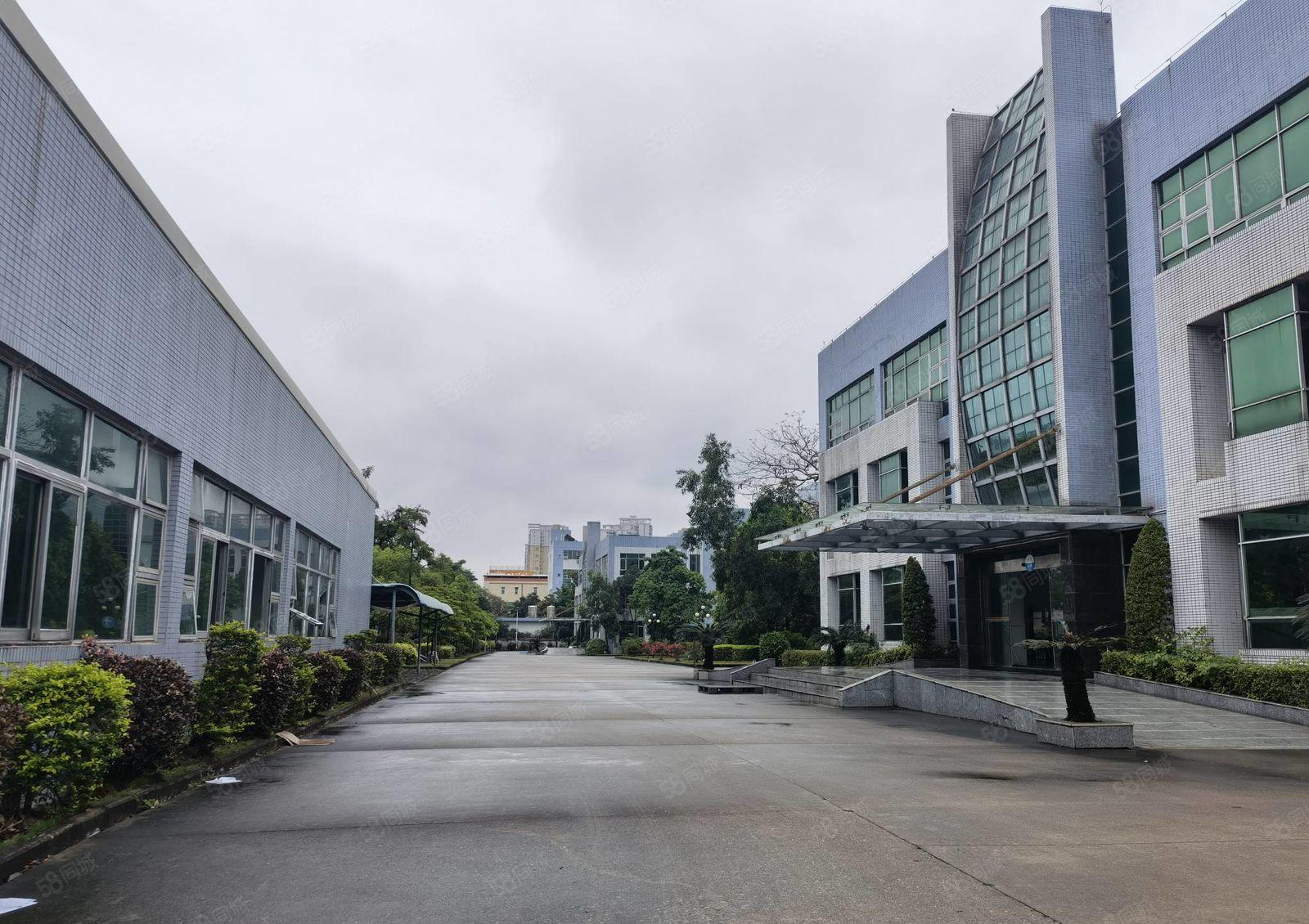 水口荔枝城工业区新出楼上600平精装修办公室厂房低价出租