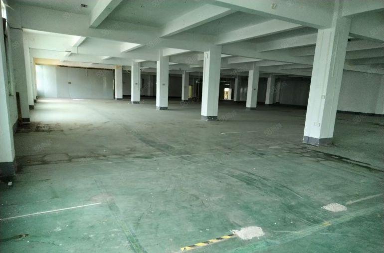 马安无公摊一四楼约2200平方红本厂房招租易招工