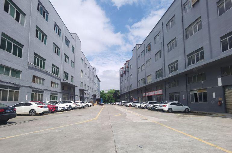 900平起分租惠城水口镇一楼1650平米带现成办公室展厅车间