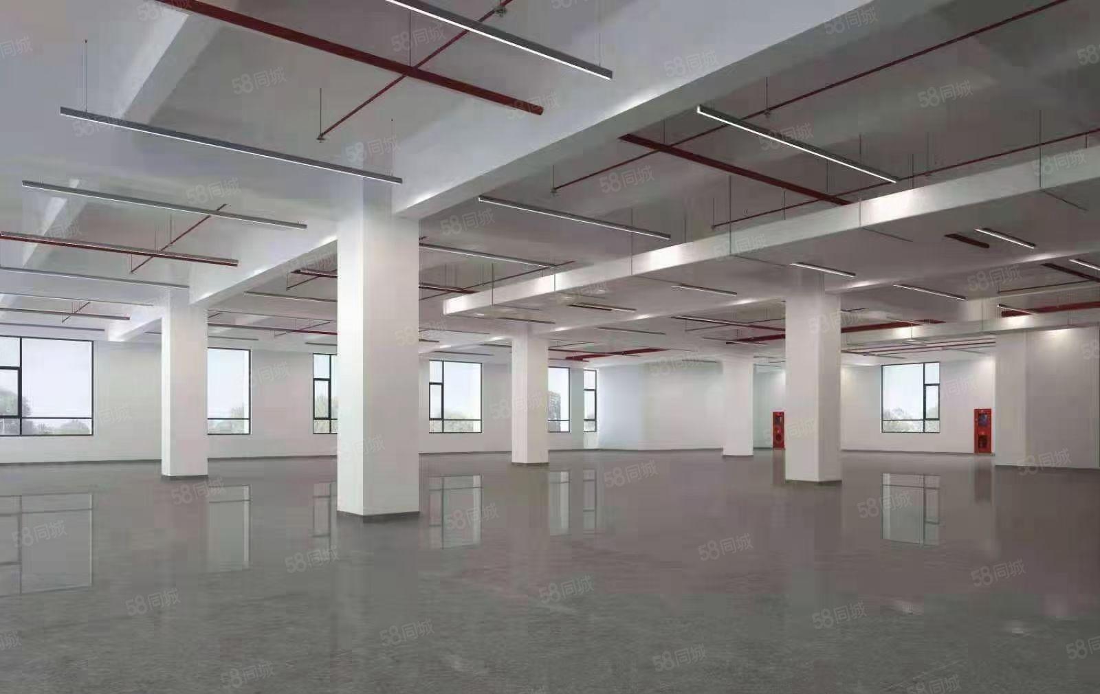 水口全新制造园约6万平方厂房招商1000平起租