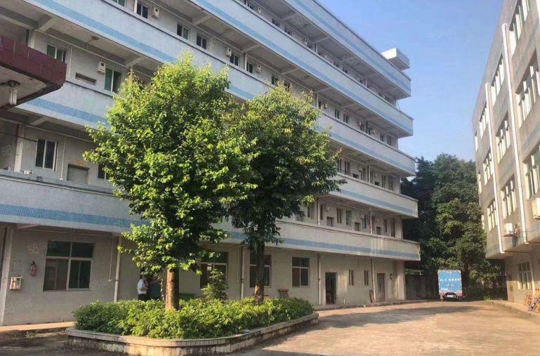 独门独院5000平方厂房出租 原房东价格实惠