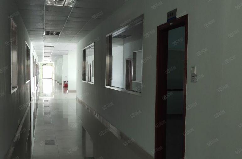 10元！形象好！惠城小金口原房东独院厂房18300平低价急租