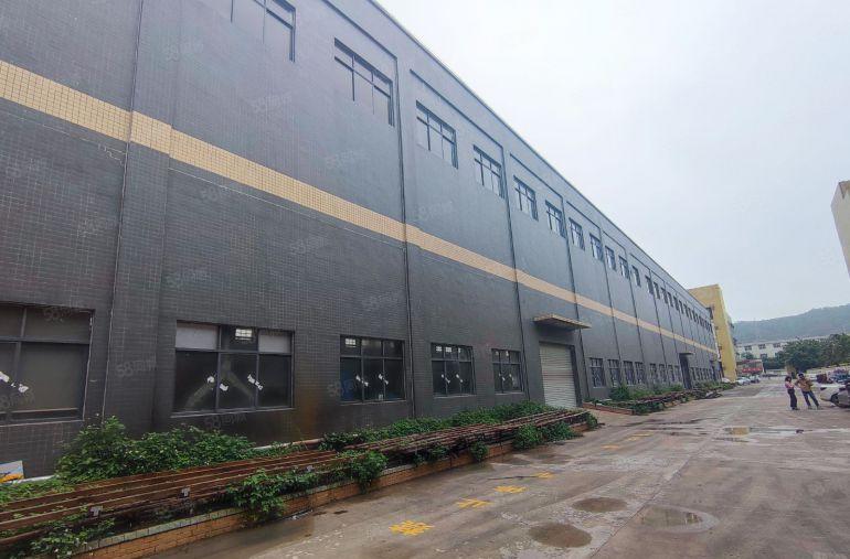 四角楼泰美独厂房出租院钢构1w平滴水15米带牛角位可分租