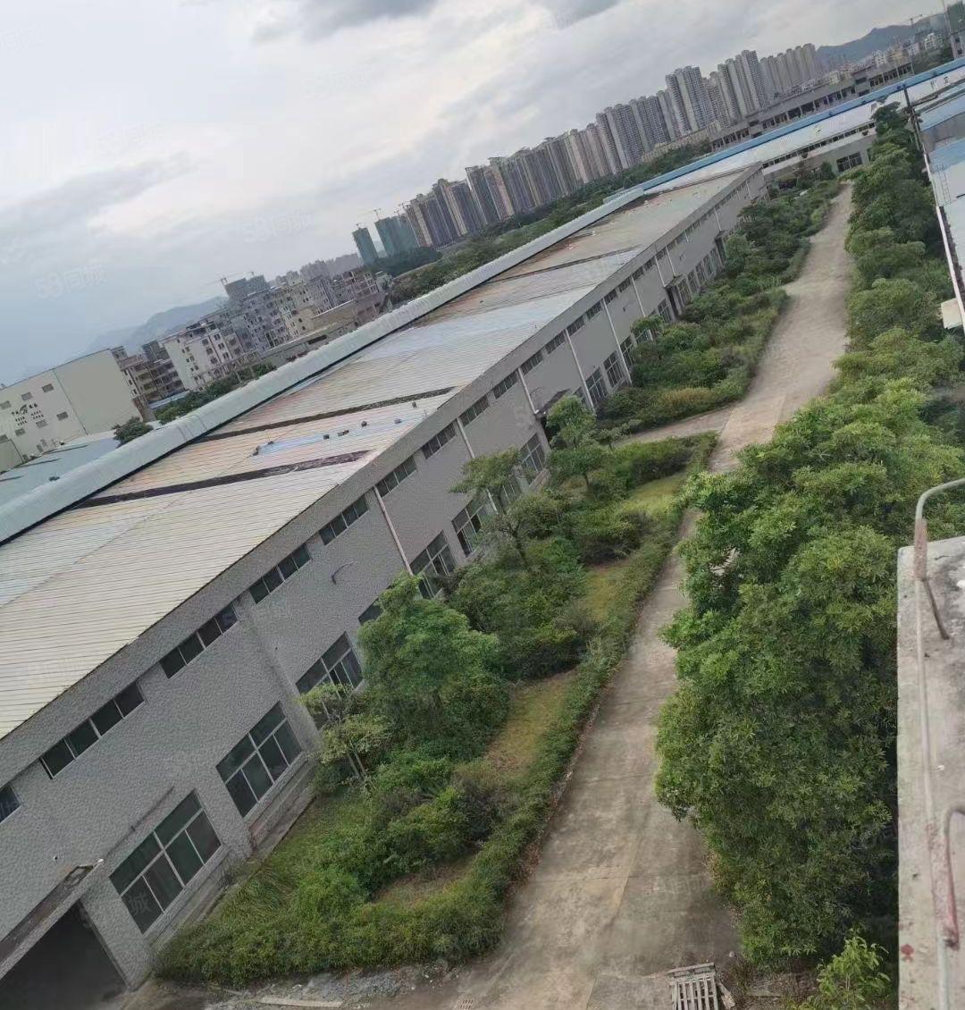 新乐大型工业园钢结构厂房1000平方起租可进大车