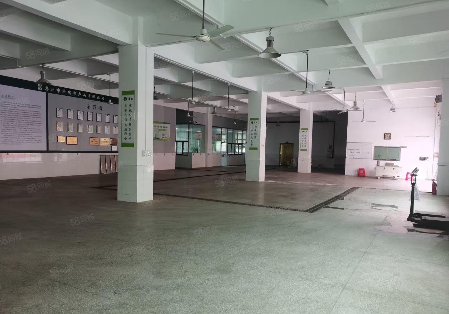 小金柏岗独院厂房3200平米出租 租金13元 有证件 可分租