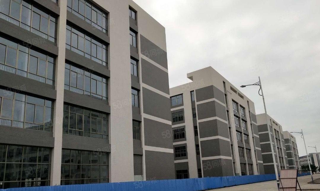 惠州原房东新建标准厂房仓库18万平方出租可分租