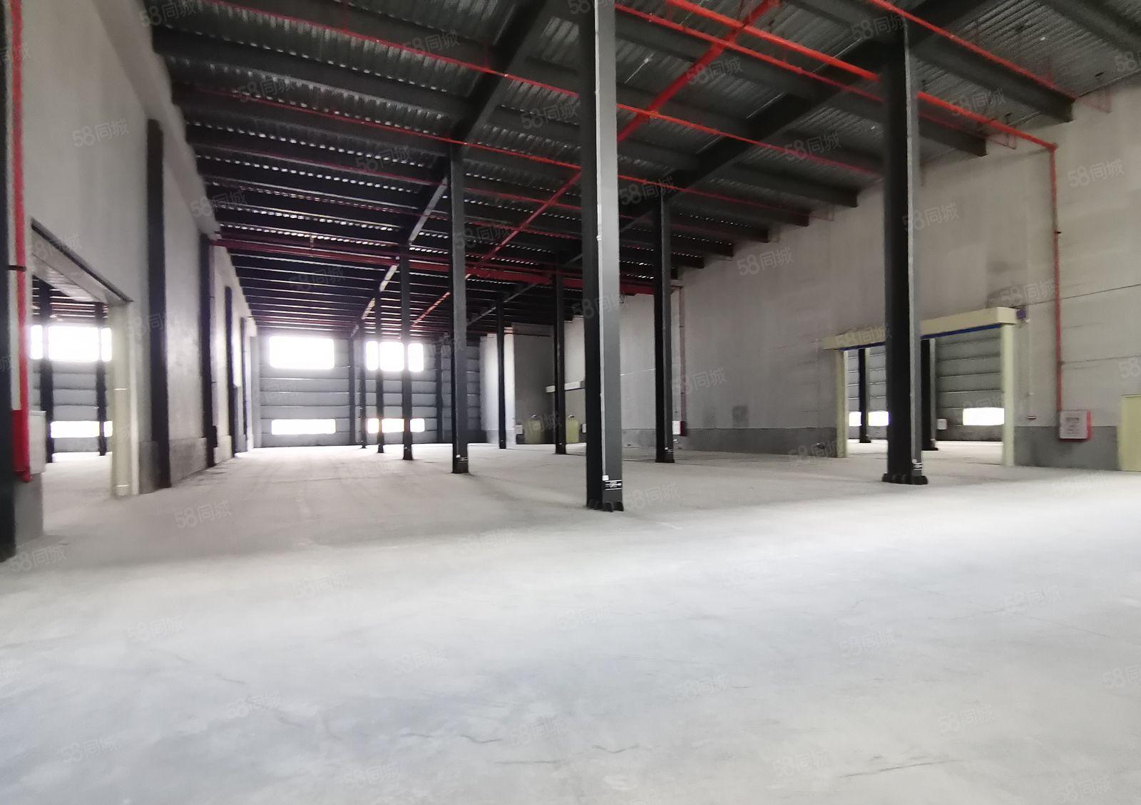 惠城河南岸太东工业园1万平高台仓层高11米仓库厂房出租可分租