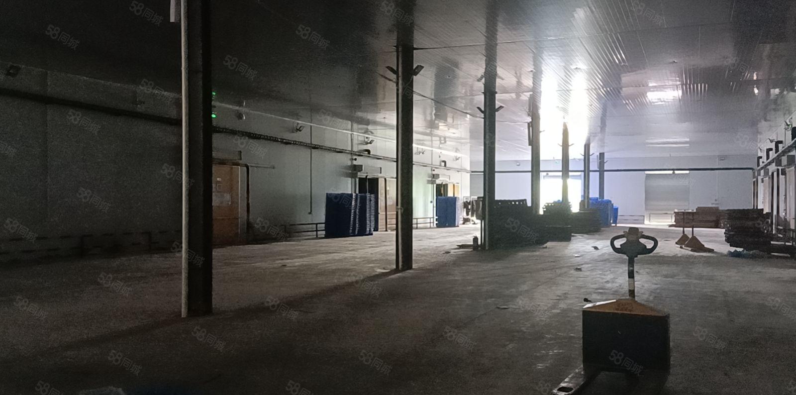 平潭镇单一层约15000平方带卸货平台钢构出租