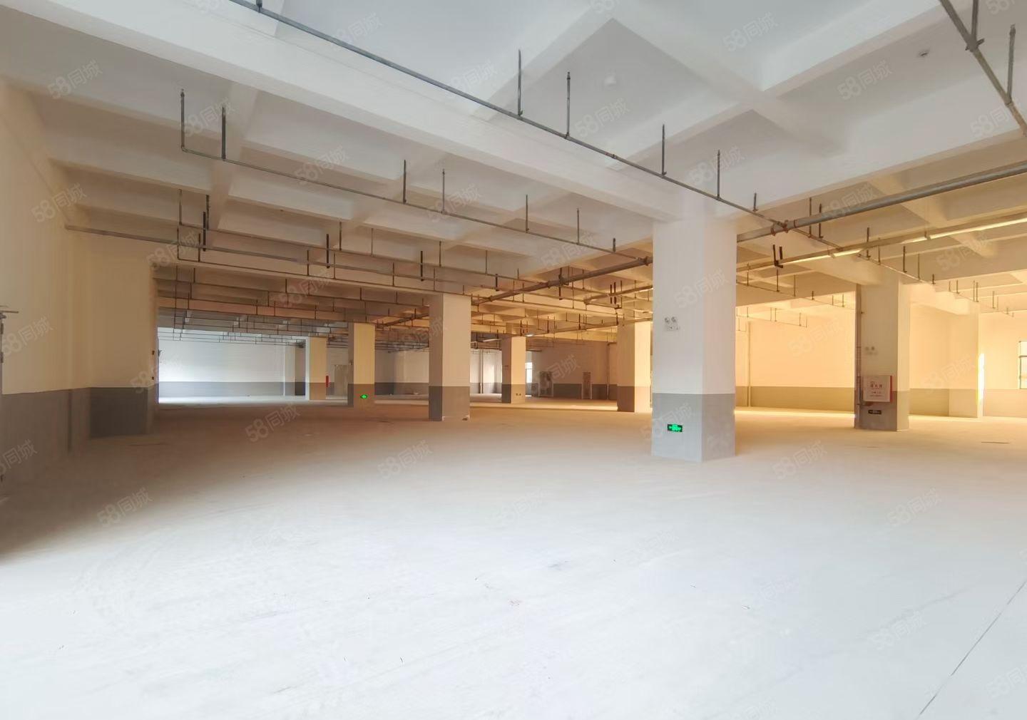 水口经典小独院厂房出租 全新红本 空地大