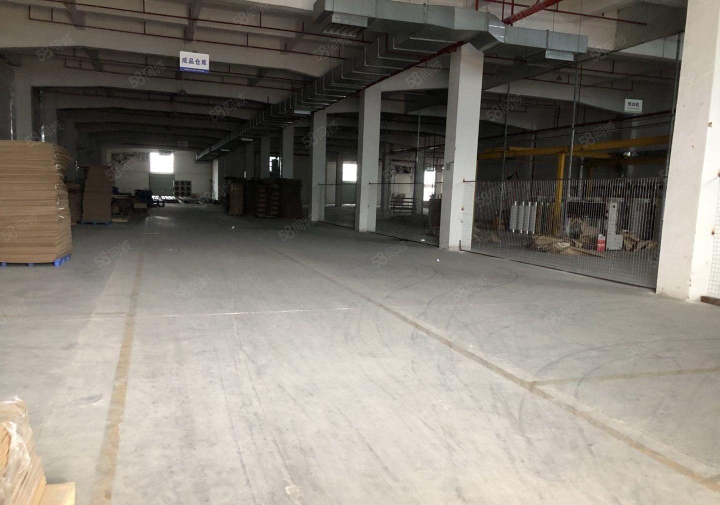 小金口一楼3200平方13元