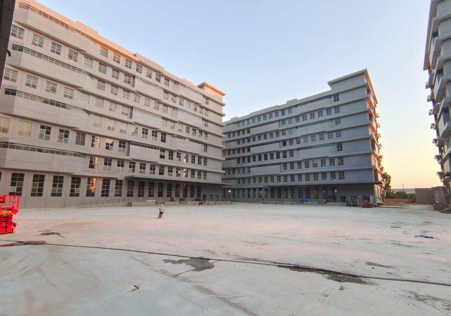 水口东江湾高端产业标准厂房出租 上市公司！