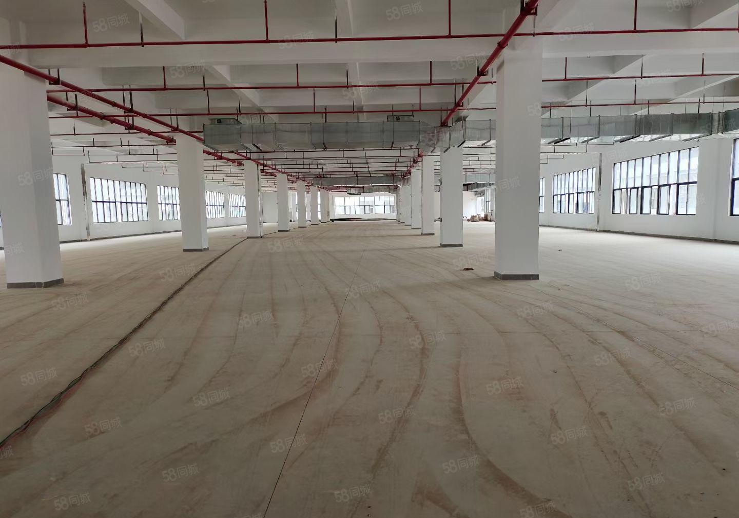 合马安全新一二层5200平方红本标准厂房招租