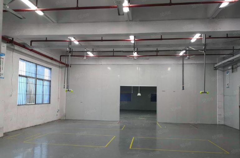 惠惠城区水口原房东独院厂房8000平方出租