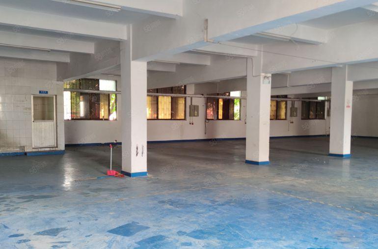 惠城小金口1000平独门独院厂房出租分租精装修可办公可生产